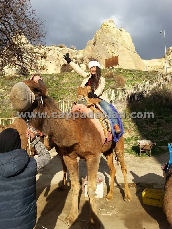 Катание На Верблюдах В Каппадокии